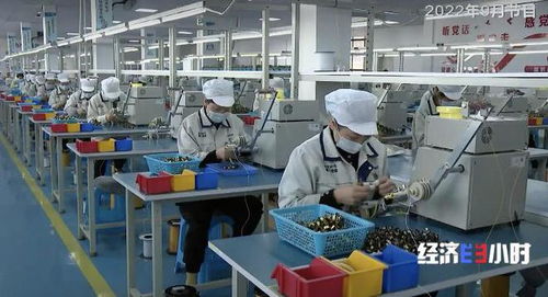 盤點中國經(jīng)濟(jì)一年間的 奮進(jìn)密碼 助企紓困 財政直達(dá) 穩(wěn)定就業(yè) 擴(kuò)大投資一個都不能少